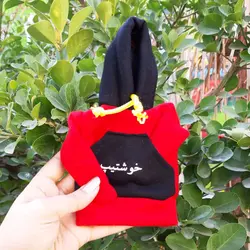 هودی سر دنده طرح خوشتیپ کد 1070 | زینو اسپرت
