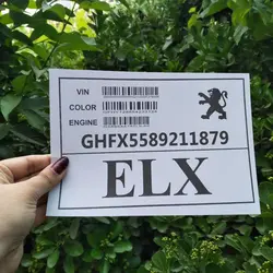 برگه (کاغذ) شیشه جلو پژو پارس ELX کد 2948 | زینو اسپرت