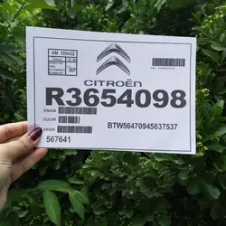 برگه (کاغذ) شیشه جلو سیتروئن کد 2946 | زینو اسپرت