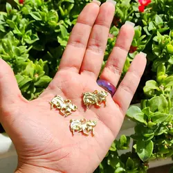 آرم روی دکمه بخاری 2883 کد 1622 | زینو اسپرت