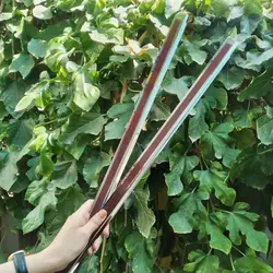 زه آبگیر استیل پراید 141 کد 0023 | زینو اسپرت