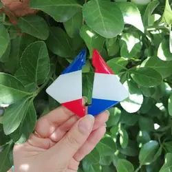 ضربه گیر درب خودرو طرح پرچم فرانسه مجموعه 2 عددی کد7485 | زینو اسپرت