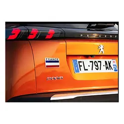 آرم اسپرت پرچم فرانسه کد 2070 | زینو اسپرت