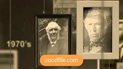 پروژه آماده افترافکت عکس نوستالژی