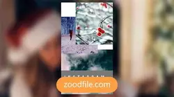 پروژه آماده پریمیر استوری اینستاگرام مولتی