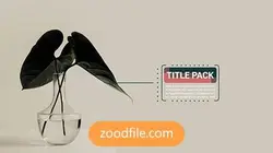 پروژه آماده پریمیر تایتل شیک