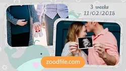 پروژه آماده پریمیر کودک بارداری