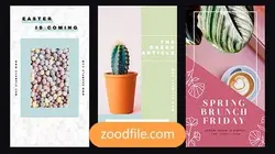 پروژه آماده افترافکت استوری اینستاگرام فروشگاهی