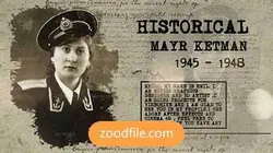 پروژه آماده افترافکت عکس روزنامه ای