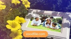پروژه آماده افترافکت عکس بهاری