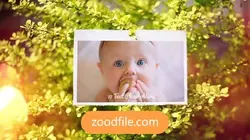 پروژه آماده افترافکت عکس تابستانه