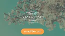 پروژه آماده افترافکت تایتل عروسی مجلل
