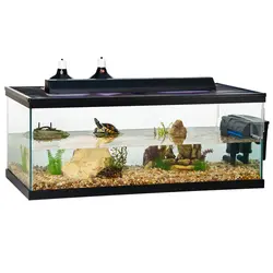 تراریوم لاک پُشت مدل دریاچه - پرشین پت شاپ