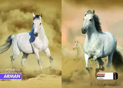 دفتر 50 برگ خط دار جلد طلقی کلاسیک