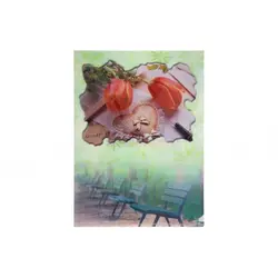 پوشه A4 طرح دار پاپکو