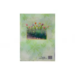 پوشه A4 طرح دار پاپکو