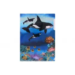 پوشه A4 طرح دار پاپکو