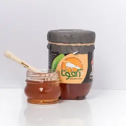 خرید عسل کنار (سدر ایرانی) با قیمت مناسب | عسل آهوتا