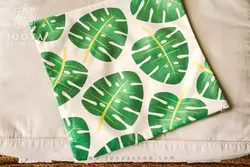 کاور کوسن برگ پاپیتال