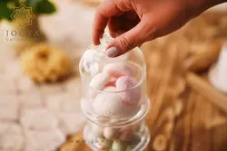 ظرف تنقلات پیرکس پاشا باغچه