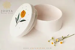 ظرف تنقلات سرامیکی سلینو