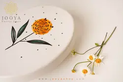 ظرف تنقلات سرامیکی سلینو