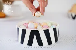 ظرف تنقلات سرامیکی تریسا