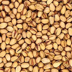پسته فندقی شور بسته 500 گرمی