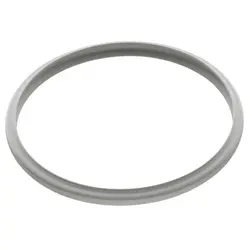 واشر زودپز پارس