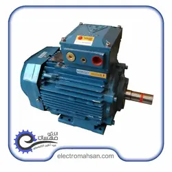 الکتروموتور ضد انفجار 5.5 کیلووات ،2 پل ، 3000 دور، مدل موتوژن | الکترومهسان