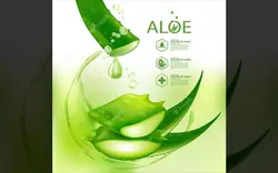 لوازم آرایشی مراقبت از پوست آلوئه ورا - Aloe vera realistic plant skincare cosmetic