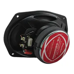 باند پایونیر Pioneer TS 6900PRO