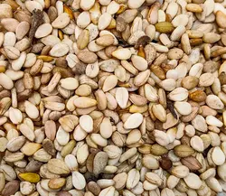 کنجد سفید پاکستانی کیاست (کیسه 20 کیلویی)