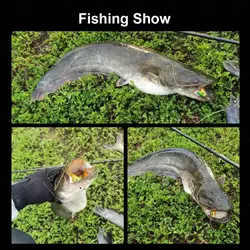 ماهی مصنوعی جیگ  ژله ای سه تکه ۱۳ سانتی متر ۱۶.۵ گرم BR4