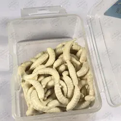 کرم ژله ای مصنوعی (ماگوت) ماهیگیری بو دار BaoHua