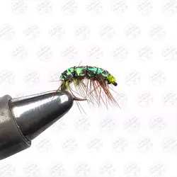 میگو ماهیگیری کد ۳۴