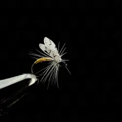 پشه ماهیگیری کد ۳۶