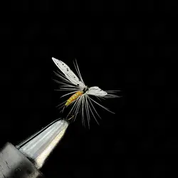 پشه ماهیگیری کد ۳۶