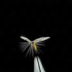 پشه ماهیگیری کد ۳۶