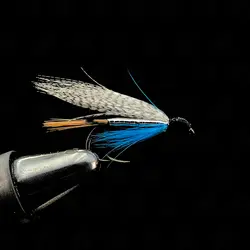 پشه ماهیگیری ایلبا مدل ILBA FLY WET TEAL BLUE