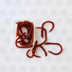 کرم خاکی مصنوعی ماهیگیری  بسته ۱۵ عددی
