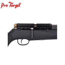 تفنگ pcp اف ایکس ساکلون
