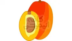 وکتور زردآلو موهو