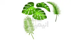 پک وکتور برگ موهو