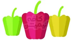 پک وکتور فلفل دلمه موهو