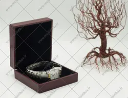 جعبه ساعتی_النگویی مدل معین