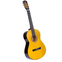 گیتار دیاموند Diamond Guitar