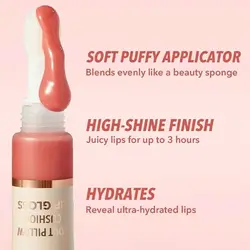 لیپ گلاس اسفنجی شیگلم رنگ Cat Nap