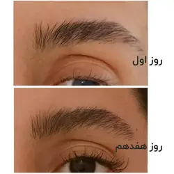 سرم احیا کننده ابرو سریتا Cerita (10‌میل)