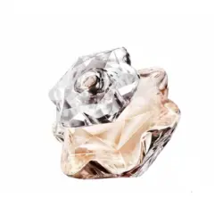 تستر اورجینال ادوپرفیوم زنانه مونت بلانک لیدی امبلم (75میل)